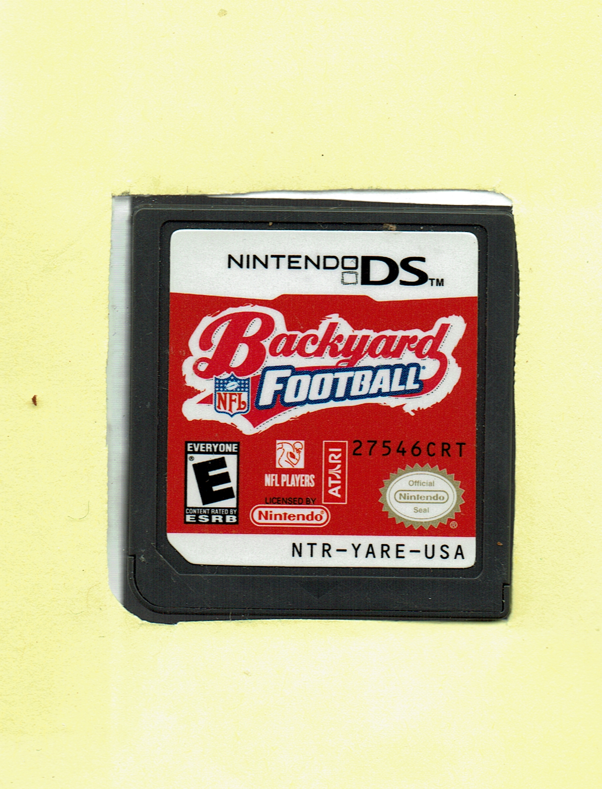 NFL Backyard Football